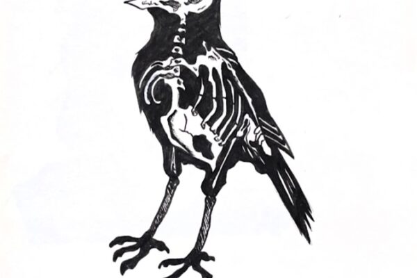 Creepy bird sketch